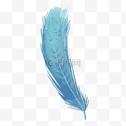蓝歌鸲羽毛渐变蓝色翅膀