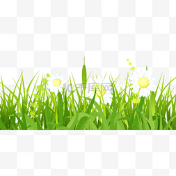 白色雏菊春季复活节绿色草地