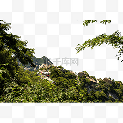 华山的山峰景色植物夏季