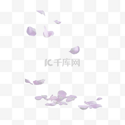 紫色梦幻字体图片_粉色玫瑰花瓣