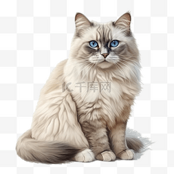 插画猫咪图片_卡通手绘动物宠物猫咪