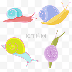 蜗牛动物爬行雨天潮湿生物