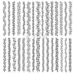 垂直花卉装饰、边框和分隔线、矢