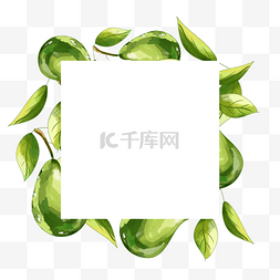 海报沙拉图片_水彩牛油果水果方形边框