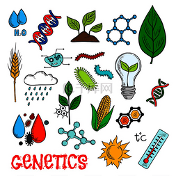 植物遗传图片_农业遗传技术和科学研究实验图标