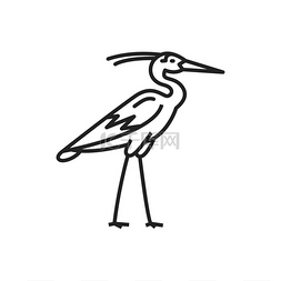 长腿图片_伊比斯神鸟埃及孤立轮廓矢量图标