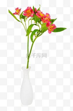 花瓶免抠图图片_水仙百合花瓶