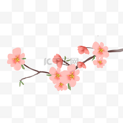盛开的图片_盛开的粉色海棠花