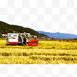 农业水稻户外收割机