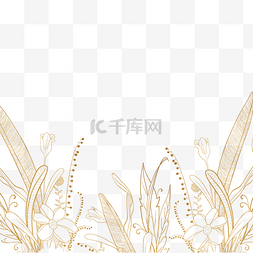 线条植物边框图片_金色花卉线稿线稿边框