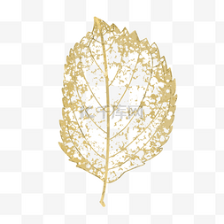 叶脉树叶图片_创意金色抽象镂空单片树叶