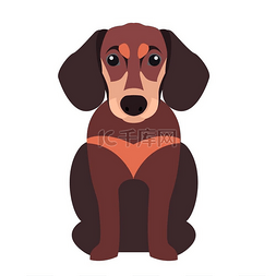 宠物狗品种图片_可爱的腊肠狗卡通平面矢量图标。