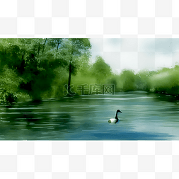 绿色湖面图片_湖里的鹅