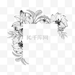 边框手绘线稿图片_线稿花朵叶片植物边框
