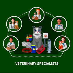 兽医专业治疗平面图标组成与猫药
