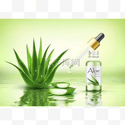 玻璃瓶植物图片_芦荟植物与新鲜的滴和滴管玻璃瓶