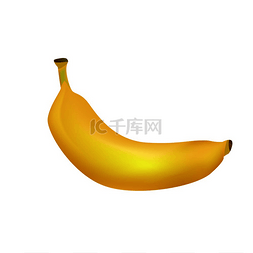 成熟的香蕉现实矢量图标孤立在白