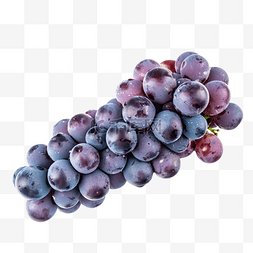 紫黑色背景图片_新鲜水果葡萄
