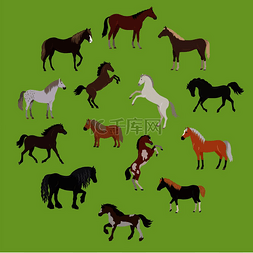 品种图标图片_不同品种的马的插图。