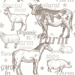 卡通农场猪图片_无缝模式与农场动物.