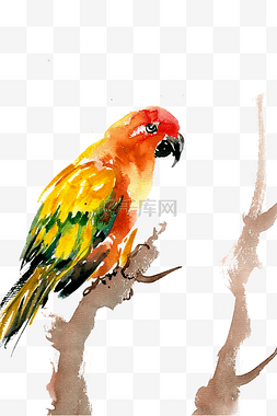 树枝彩色水墨画图片_树枝上的鹦鹉
