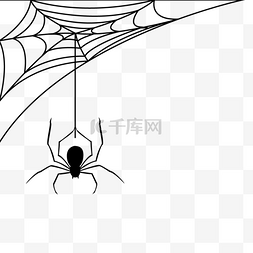 国潮图片_手绘蜘蛛网