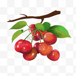 红色水彩叶子图片_水彩红色水果车厘子樱桃