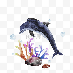 水彩海豚与珊瑚