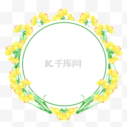 水彩水仙花卉边框圆形