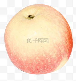 红富士苹果食物