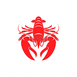 龙虾红色甲壳类动物孤立的海洋动