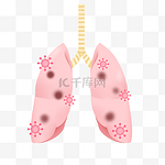 人体内脏肺部感染