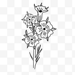 漂亮花卉黑白风格线条画