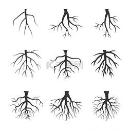 树矢量插图图片_一组树根矢量插图