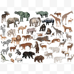 卡通蛇动物背景图片_孤立的彩色动物数量巨大