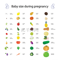 孕期图片_关于孕期相比 diff 婴儿大小的数据