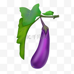 挂在枝上的茄子图片_仿真紫色茄子