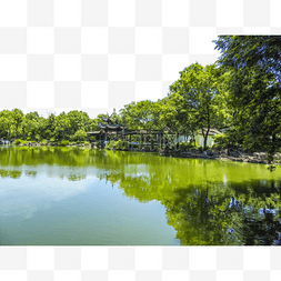 杭州杭州图片_西溪湿地自然风光夏至江河湖海植