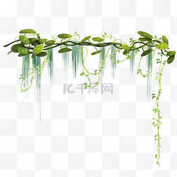 绿色藤蔓植物素材图片_绿色植物树叶藤蔓