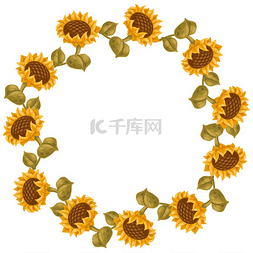 黄色图像图片_向日葵框架季节性秋季植物图片向