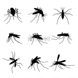 预防登革热海报图片_蚊子的轮廓蜂群飞虫危险叮咬长鼻