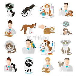 兽医的图标组平面。兽医临床、 