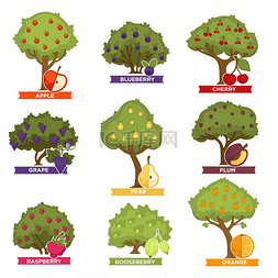 手绘卡通树木矢量图片_果园树木与成熟的水果与名称。红