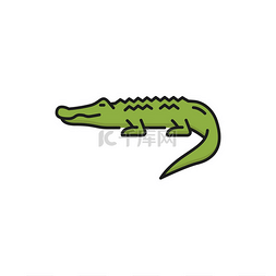 鳄鱼爬行动物图片_泰国鳄鱼隔离野生鳄鱼颜色线图标