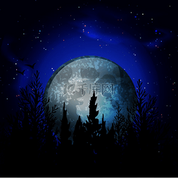 魔法世界图片_森林月亮写实构图