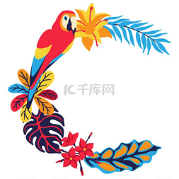 羽毛装饰设计图片_框架内有金刚鹦鹉和热带植物异国