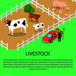 土地农民图片_有牲畜和农夫的农场靠近红色汽车
