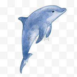 蓝鲸水彩图片_乖巧的蓝色水彩海豚