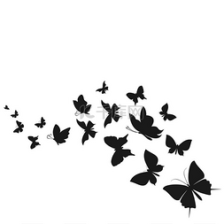 飞舞的蝴蝶群。