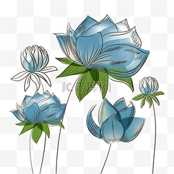 花卉植物抽象线稿蓝色